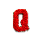 Q - Letter Patch