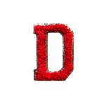 D - Letter Patch