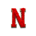 N - Letter Patch